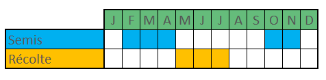 Calendrier culture des fèves