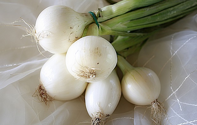 Oignons blancs